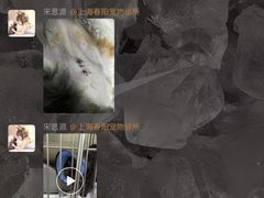 -暖阳宠物医院·犬猫康复中心·骨科
