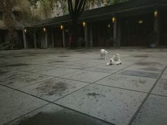 -竹吟山房