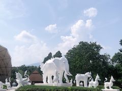 -清迈夜间动物园