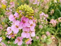 -中国天府农业博览园