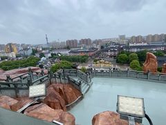 -上海东林寺(金山区)