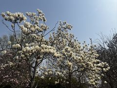 -河北省园博园