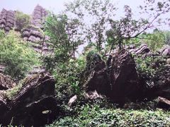 -梭布垭石林景区