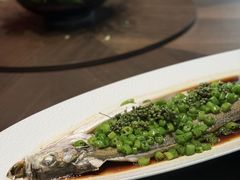 -新光酒家·河豚·海鲜·蟹料理(浦东店)
