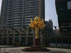 -金莲花广场