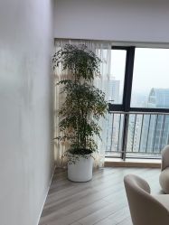 -HEYAN荷妍专业脱毛连锁机构