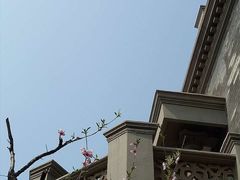 -卫鼎轩·曹公馆(鼓楼店)