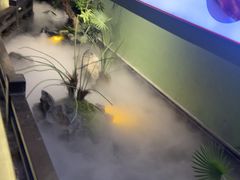 -亳府大院(亳州店)