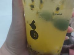 -泉州海丝野生动物世界