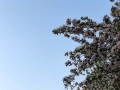 -谷养元粥铺(新天地店)