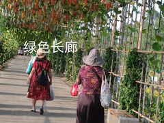 -润记农家菜