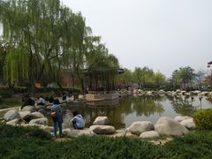 -西安青龙寺遗址景区