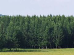 -塞罕坝国家级自然保护区