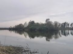 -蒲河岛湿地公园
