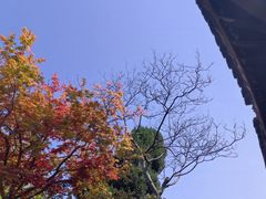 -龙华寺