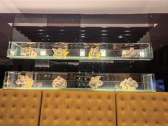 -哈尔滨索菲特大酒店-意日本料理铁板烧