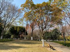 -后襄河公园