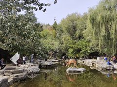 -周口店北京人遗址公园