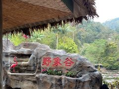 -野象谷景区