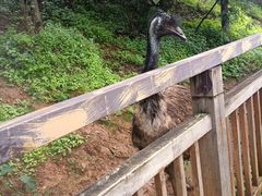 -昆明动物园