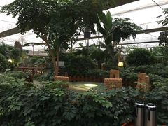 -汤山翠谷生态餐厅