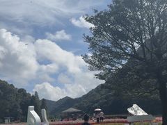 -广州市石门国家森林公园