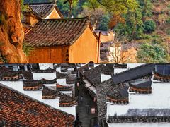-杨家堂村