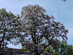 -虞山风景区