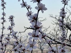 -北京西山国家森林公园