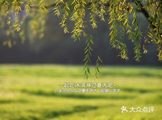 苏州城北免费又休闲的湿地公园打卡推荐