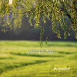 苏州城北免费又休闲的湿地公园打卡推荐