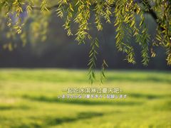 -漕湖湿地公园