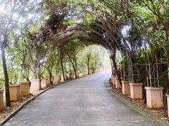 -清溪大王山森林公园