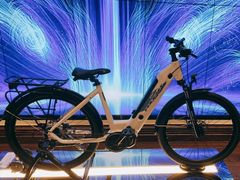 -光明食品集团有限公司