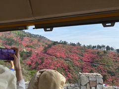 -木兰云雾山