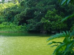 -燕晗山郊野公园
