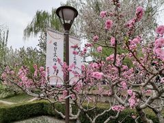 -海棠花溪(元大都城垣遗址公园)