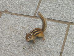 -长春市南湖公园