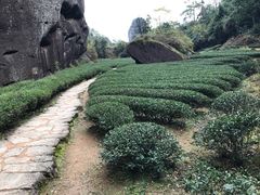 景点-武夷山风景名胜区-虎啸岩