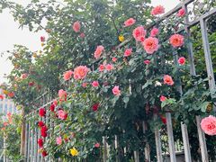 -元大都城垣遗址公园