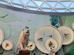 -陕西自然博物馆