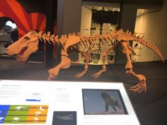 -墨尔本博物馆(Melbourne Museum)