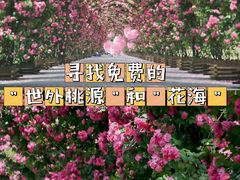 -广富林郊野公园