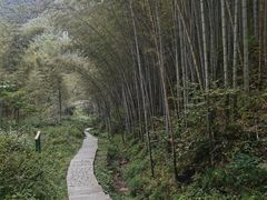 -塔川景区