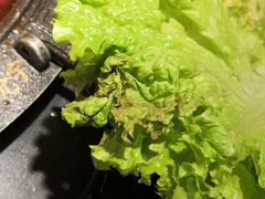 -晓宇重庆火锅(龙首店)