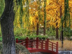 -玲珑塔公园