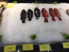 -温州龙湾国际机场温德姆酒店