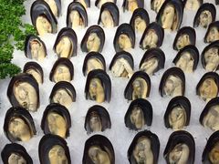 -蓝鲸湾汤泉(包河店)