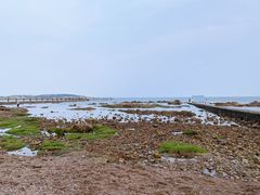 -青岛第二海水浴场