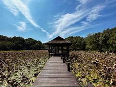 -兰亭风景区